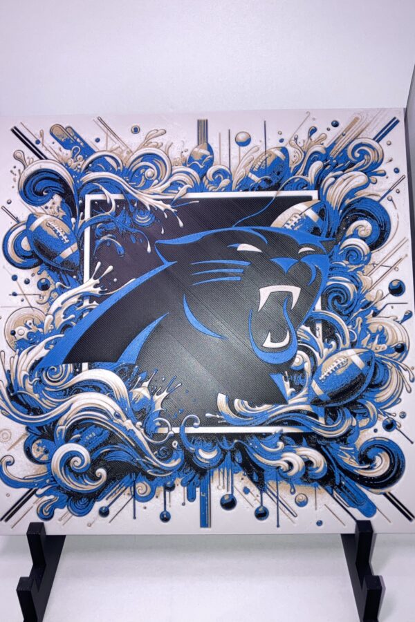 Carolina Panthers Wall Art/Hueforge