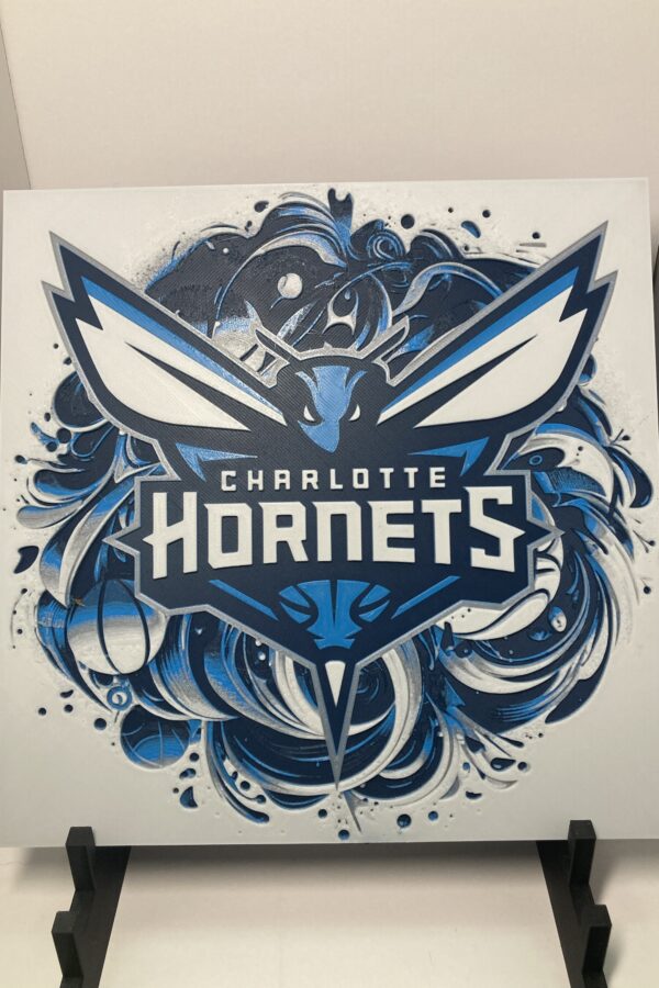 Charlotte Hornets Wall Art/Hueforge