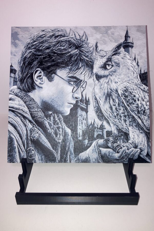 Harry Potter and Hedwig Wall Art/Hueforge